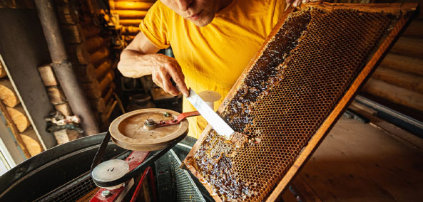 Купить мёд в нижнем тагиле